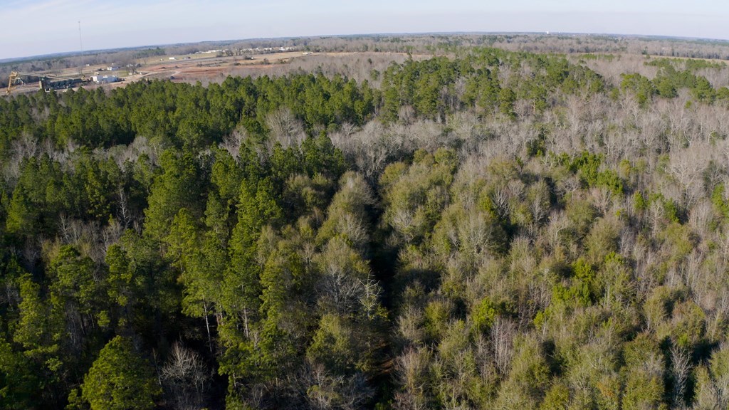 State Highway 173, Abbeville, Alabama image 11