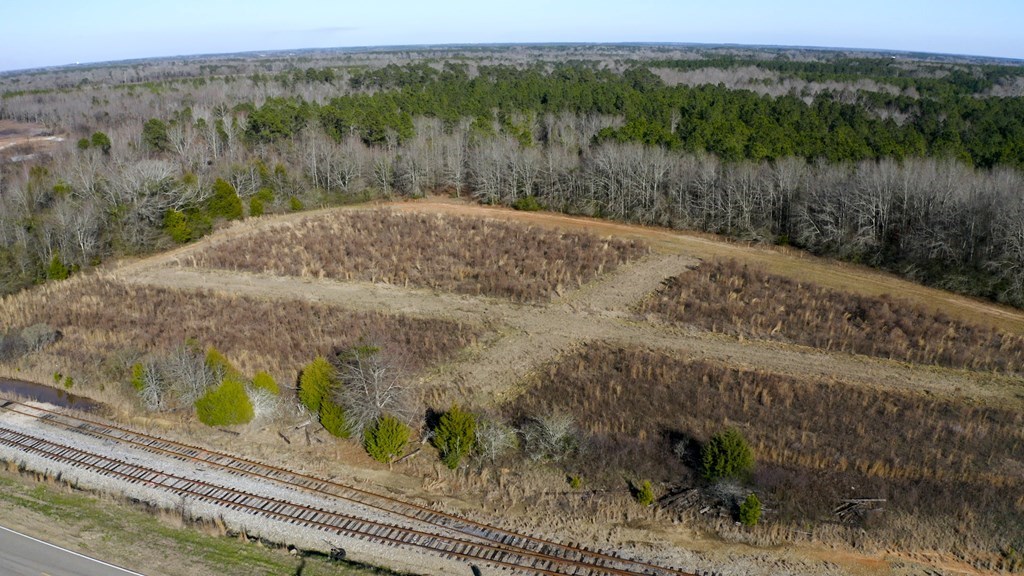 State Highway 173, Abbeville, Alabama image 7