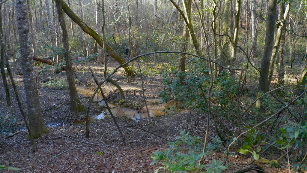 State Highway 173, Abbeville, Alabama image 13