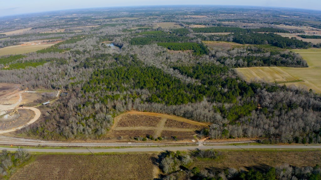 State Highway 173, Abbeville, Alabama image 2
