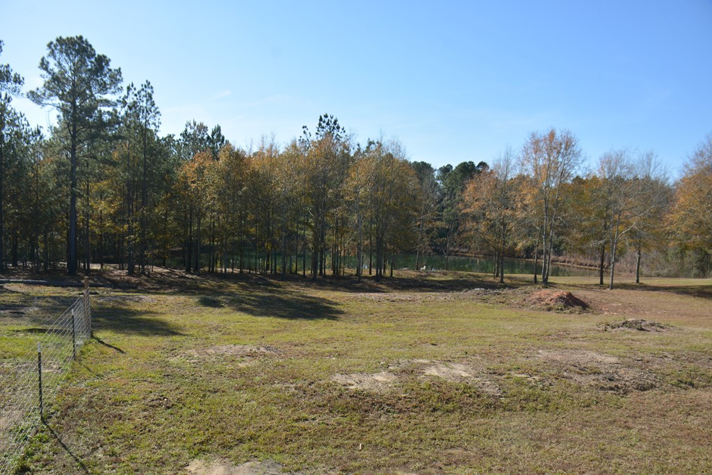 23546 Meadows Road, Andalusia, Alabama image 38