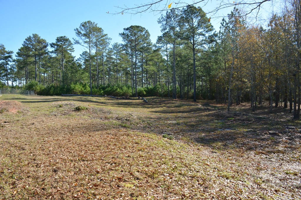 23546 Meadows Road, Andalusia, Alabama image 44