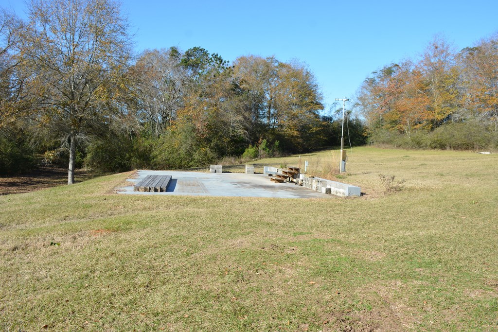 23546 Meadows Road, Andalusia, Alabama image 45