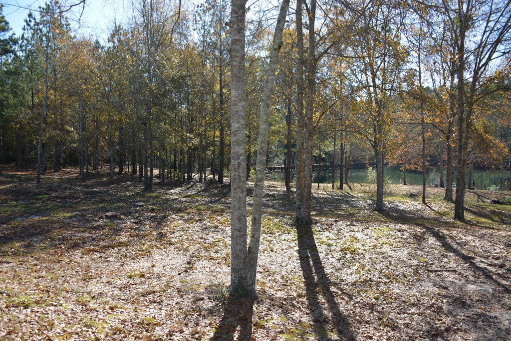 23546 Meadows Road, Andalusia, Alabama image 43