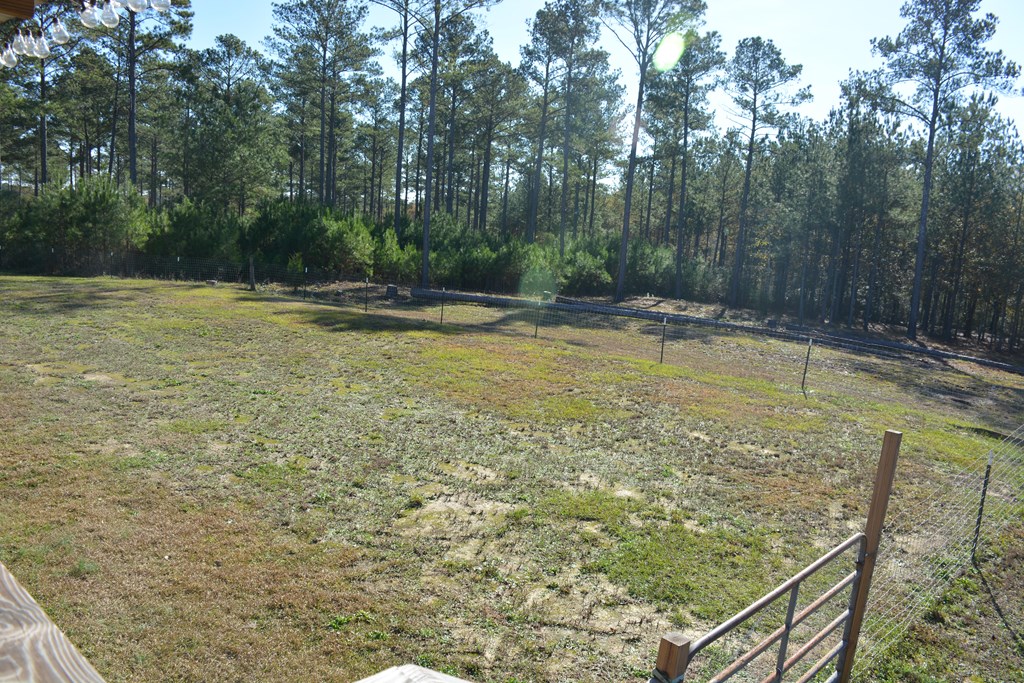23546 Meadows Road, Andalusia, Alabama image 36