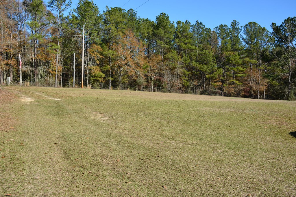 23546 Meadows Road, Andalusia, Alabama image 49