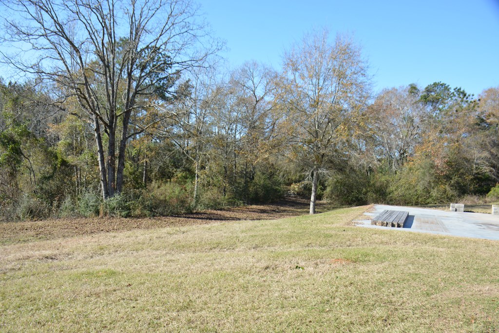 23546 Meadows Road, Andalusia, Alabama image 46