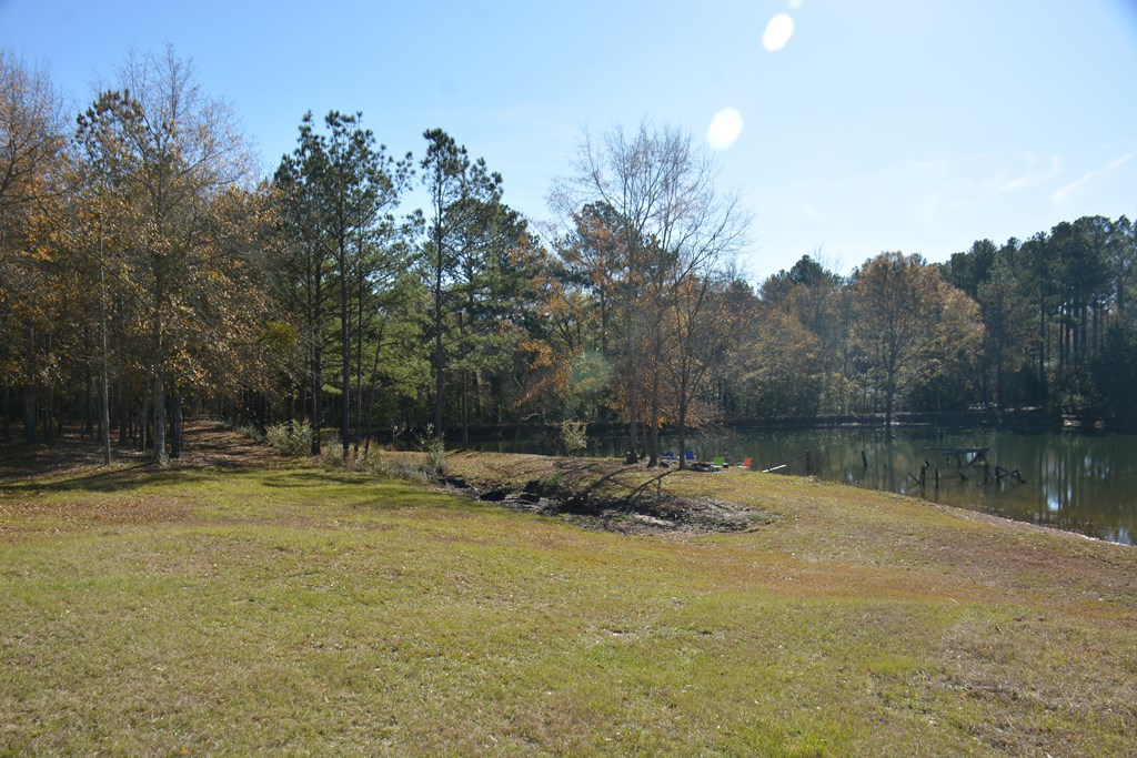 23546 Meadows Road, Andalusia, Alabama image 50