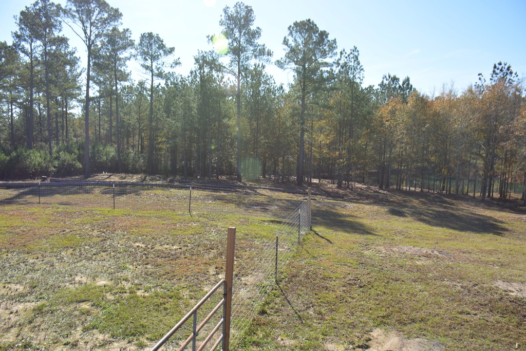 23546 Meadows Road, Andalusia, Alabama image 37