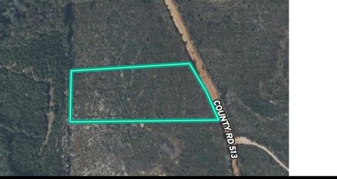 Vacant Land For Sale - 1554 County Rd 513<br/> Coffee County, Elba, AL 36323