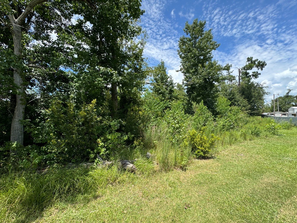98 Holly Isles-harvel Pond Rd, Donalsonville, Georgia image 3