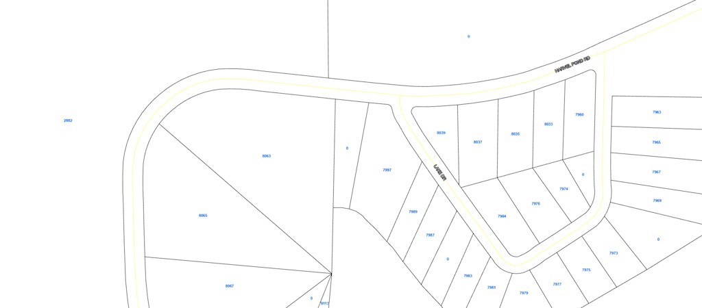 98 Holly Isles-harvel Pond Rd, Donalsonville, Georgia image 6