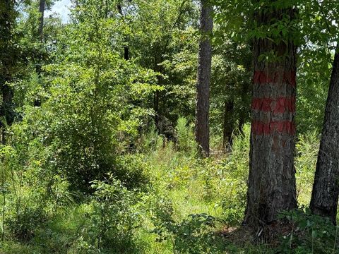 Vacant Land For Sale - 98 Holly Isles-harvel Pond Rd<br/> Donalsonville, GA 39845