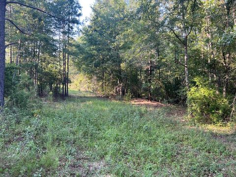 Vacant Land For Sale - 53 Hwy<br/> Clayton, AL 36016