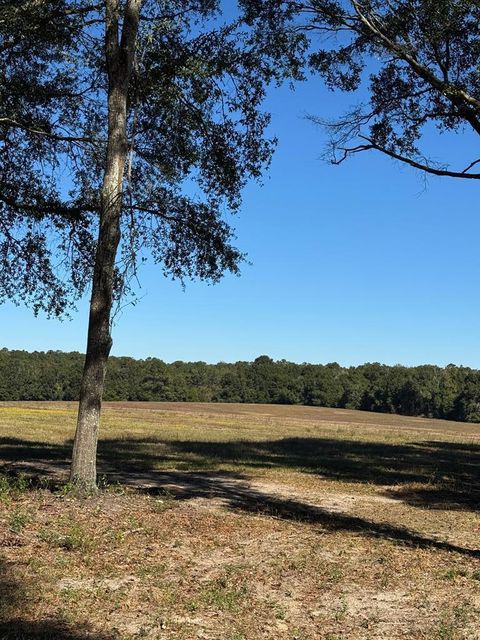 Homes For Sale - 429 Skyline<br/> Geneva, AL 36340