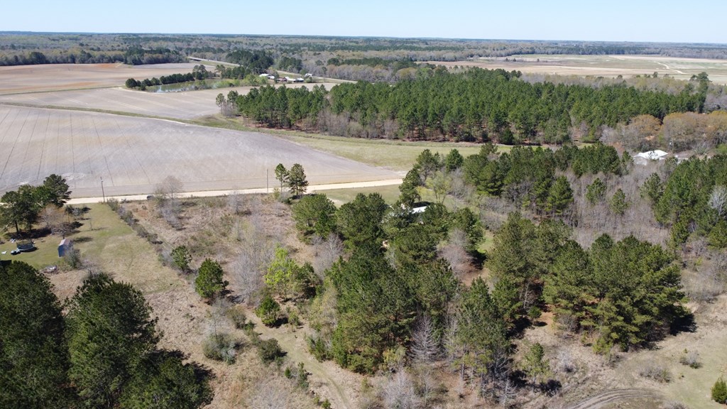 Harvest Time Rd, Samson, Alabama image 10