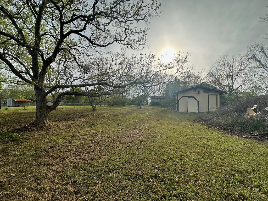 170 Snell Drive, Slocomb, Alabama image 3