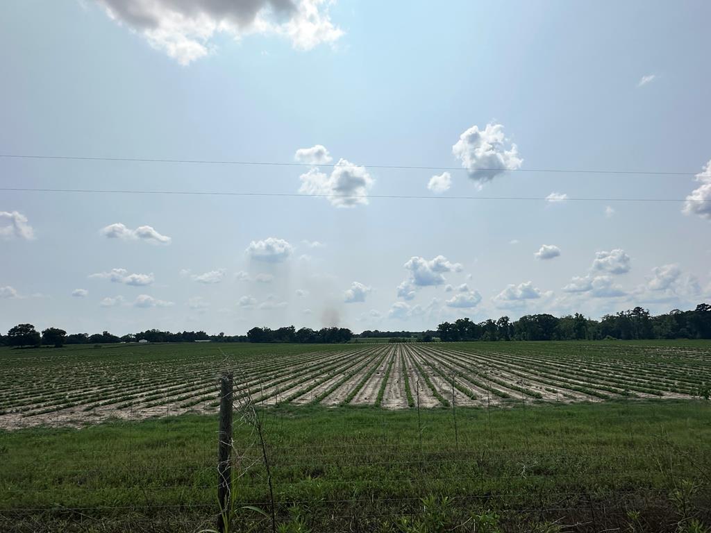 10 Acres Lot 11 Fondren Rd, Slocomb, Alabama image 1