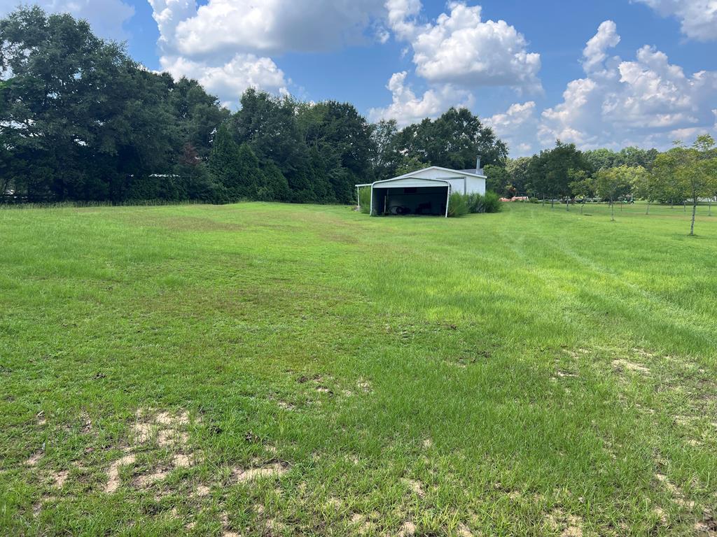 Midland City, Alabama 36350, United States, ,Land,Pending,199668