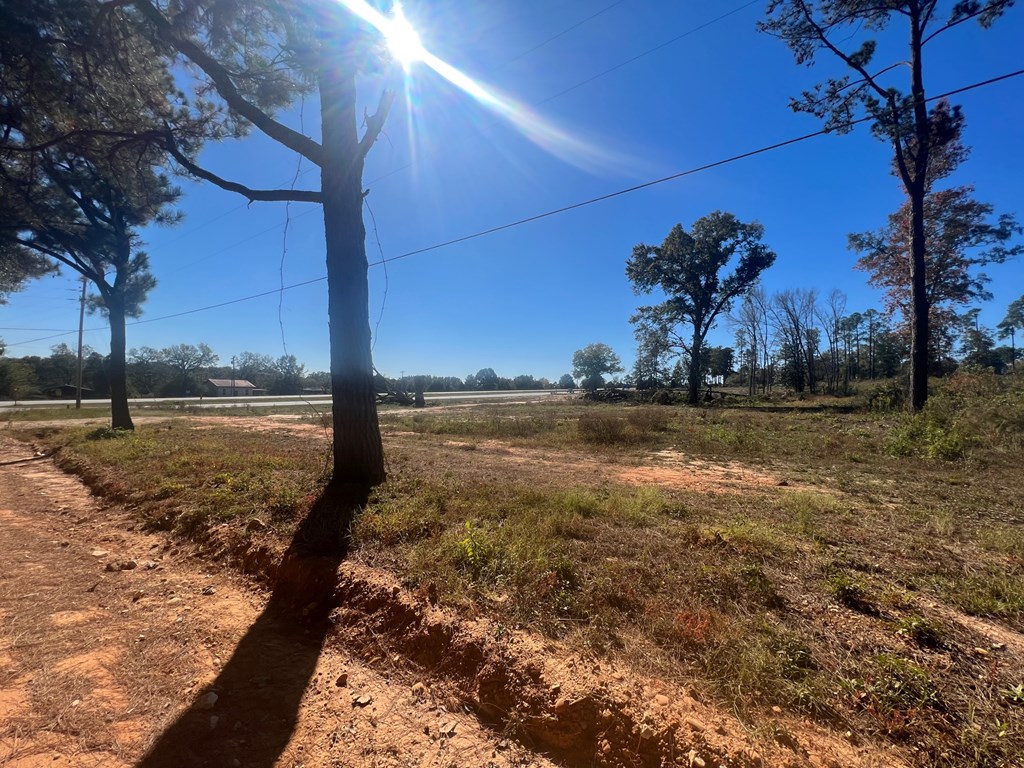 South Hwy 431, Eufaula, Alabama image 8