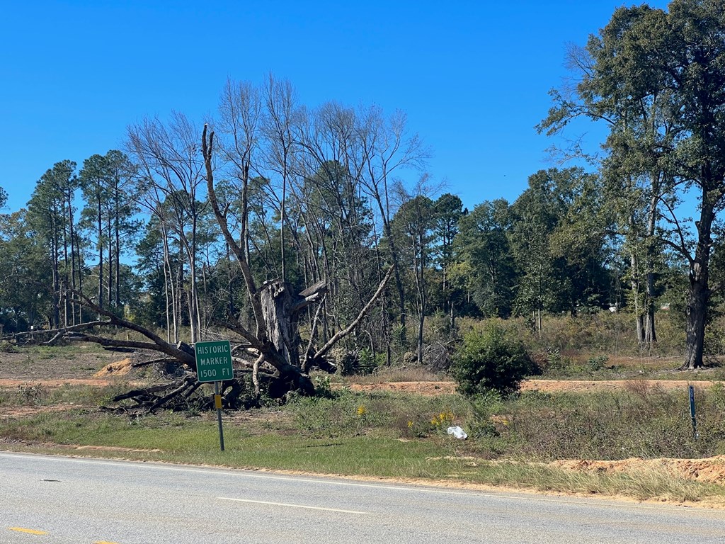 South Hwy 431, Eufaula, Alabama image 3