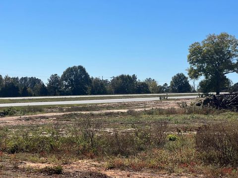 Homes For Sale - South Hwy 431<br/> Eufaula, AL 36027