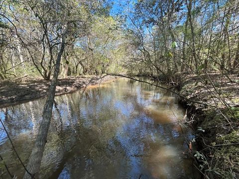 Vacant Land For Sale - 923 Lakeview Rd (159+-ac)<br/> Geneva County, Slocomb, AL 36375