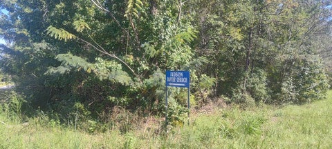 Vacant Land For Sale - TBD Highway 95<br/> Abbeville, AL 36310