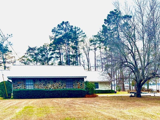 110 LAKEVIEW DR, FORT GAINES, GA 39851 - Image 5174ebc5ea0e4b0c03e6c8c6e54722b8/914175773