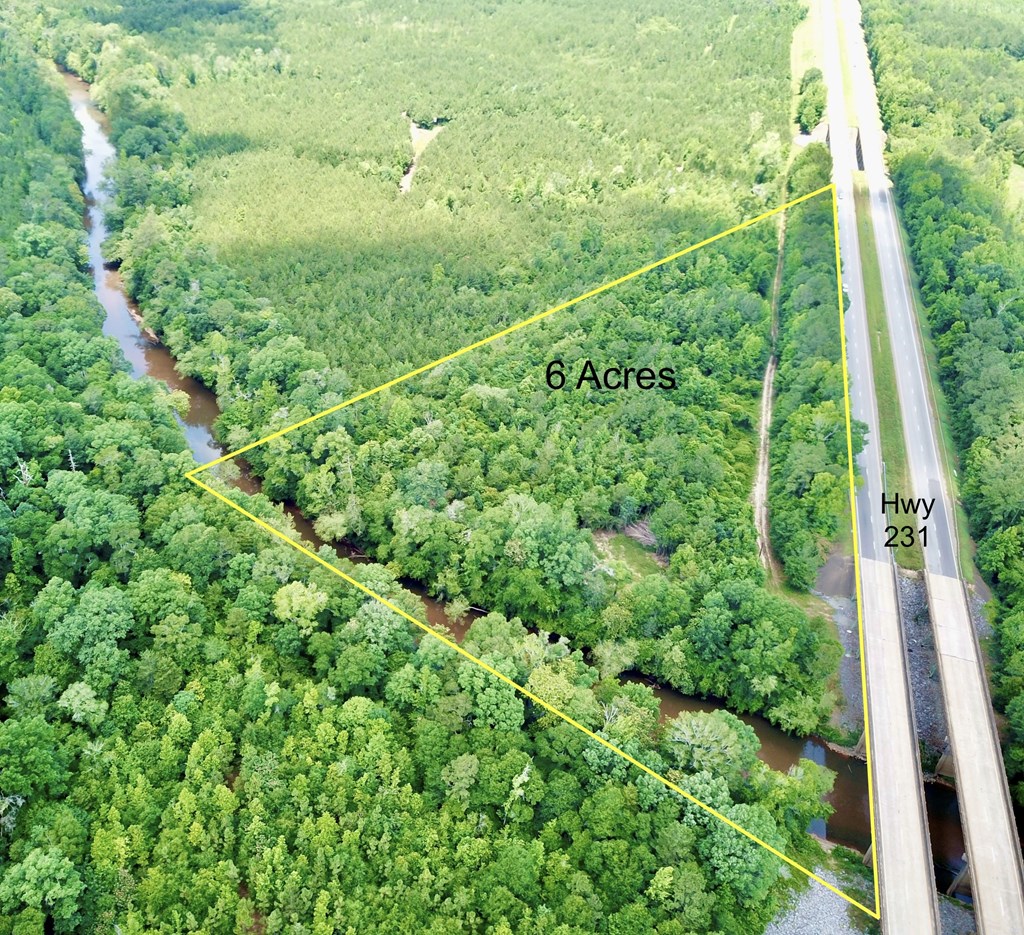 6 Acres Hwy 231, Newton, Alabama image 5
