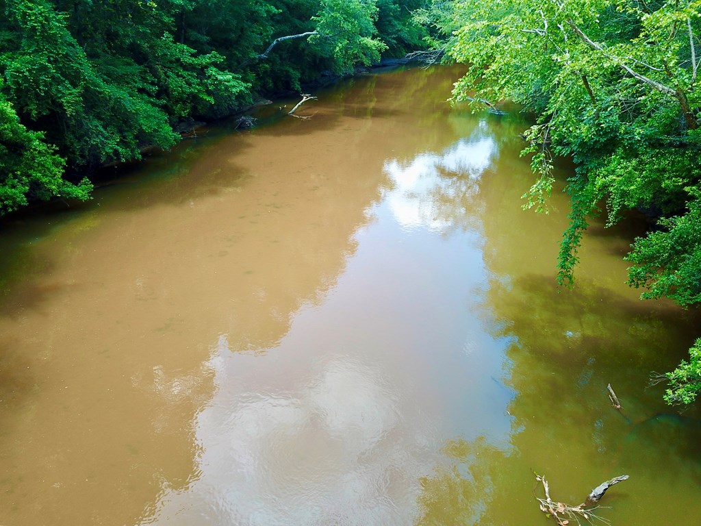 6 Acres Hwy 231, Newton, Alabama image 17