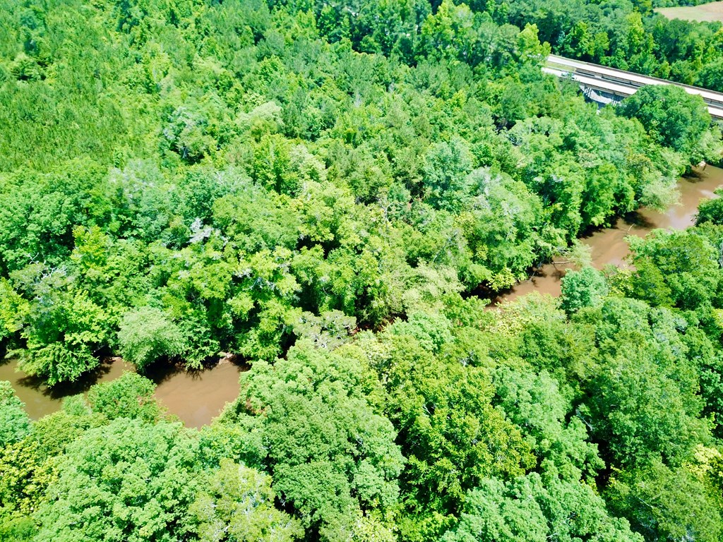 6 Acres Hwy 231, Newton, Alabama image 14