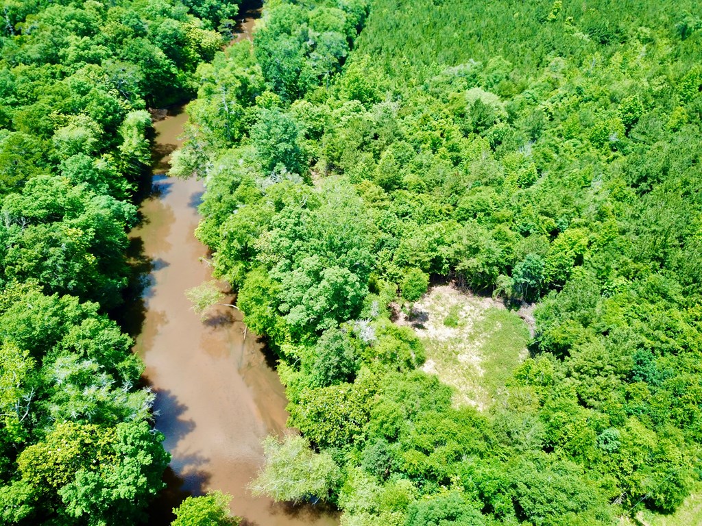 6 Acres Hwy 231, Newton, Alabama image 9
