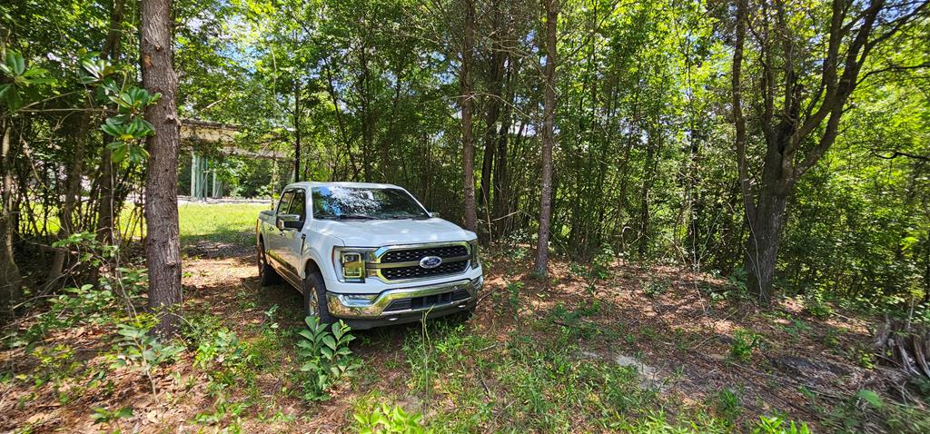 6 Acres Hwy 231, Newton, Alabama image 22