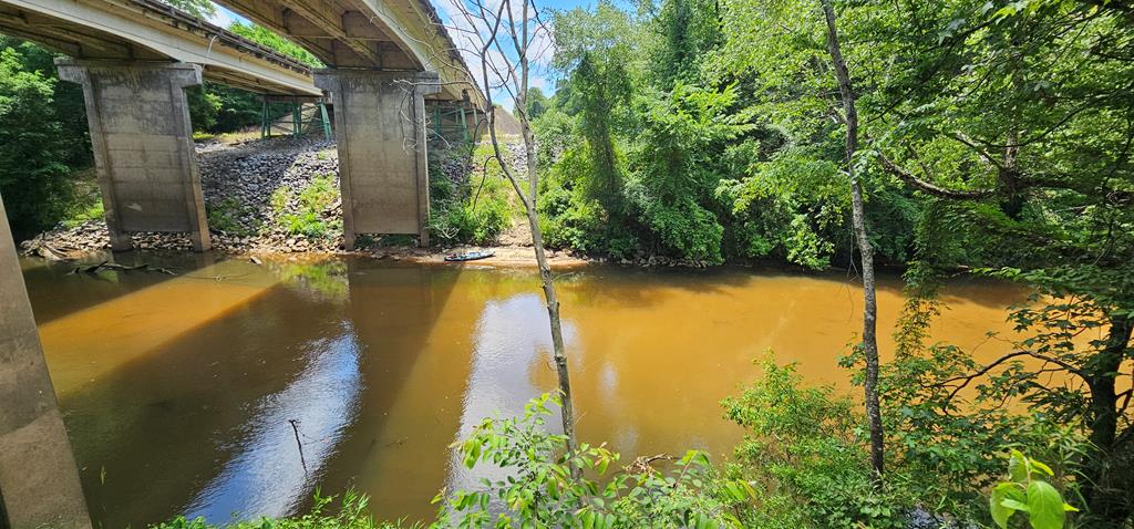 6 Acres Hwy 231, Newton, Alabama image 36