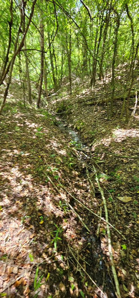 6 Acres Hwy 231, Newton, Alabama image 27