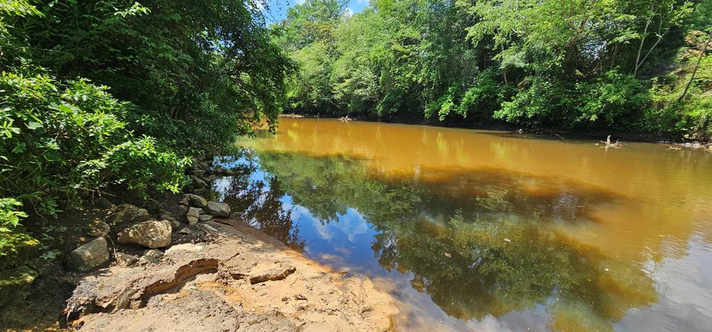 6 Acres Hwy 231, Newton, Alabama image 6