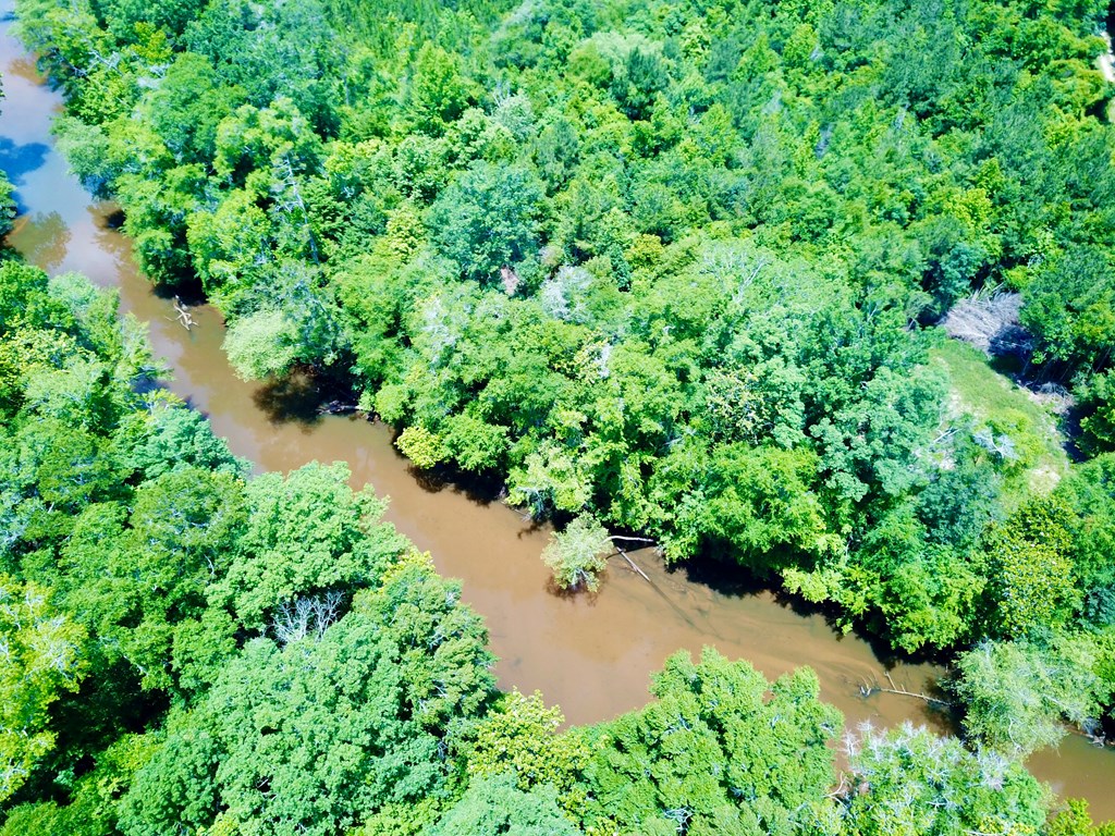 6 Acres Hwy 231, Newton, Alabama image 13