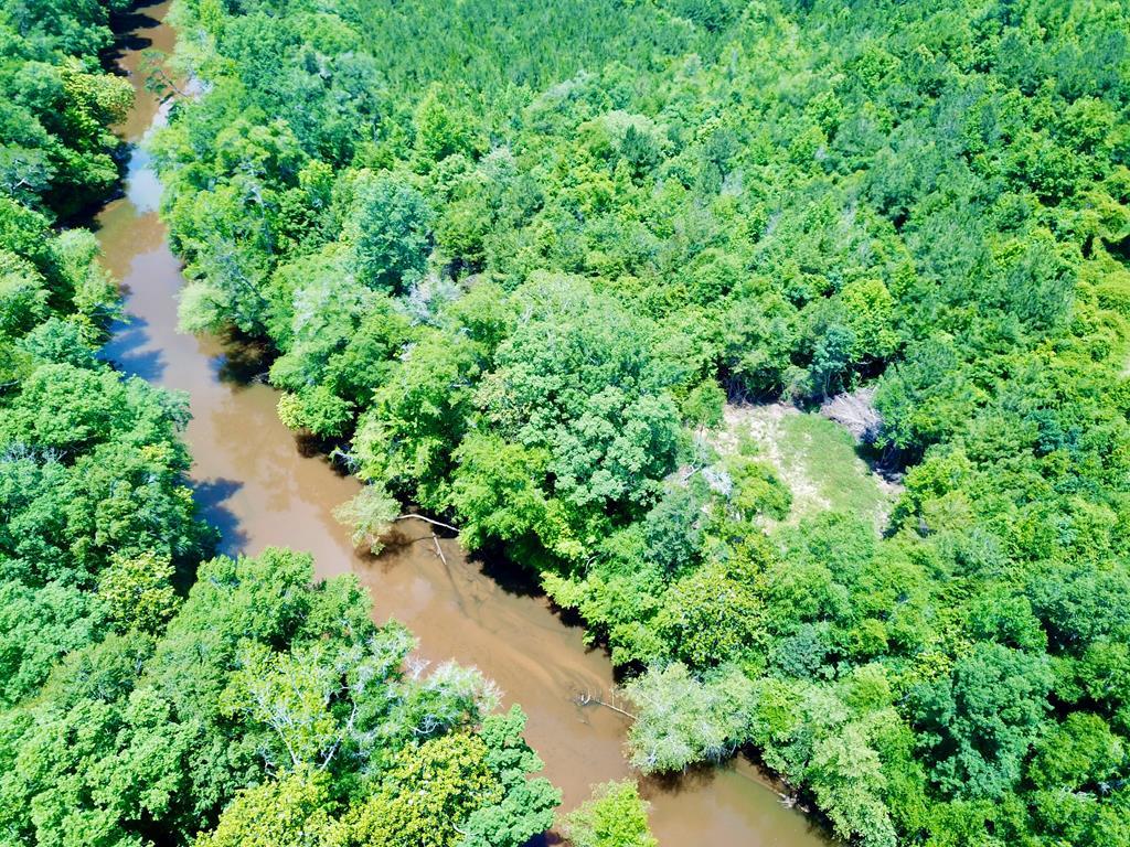 6 Acres Hwy 231, Newton, Alabama image 10