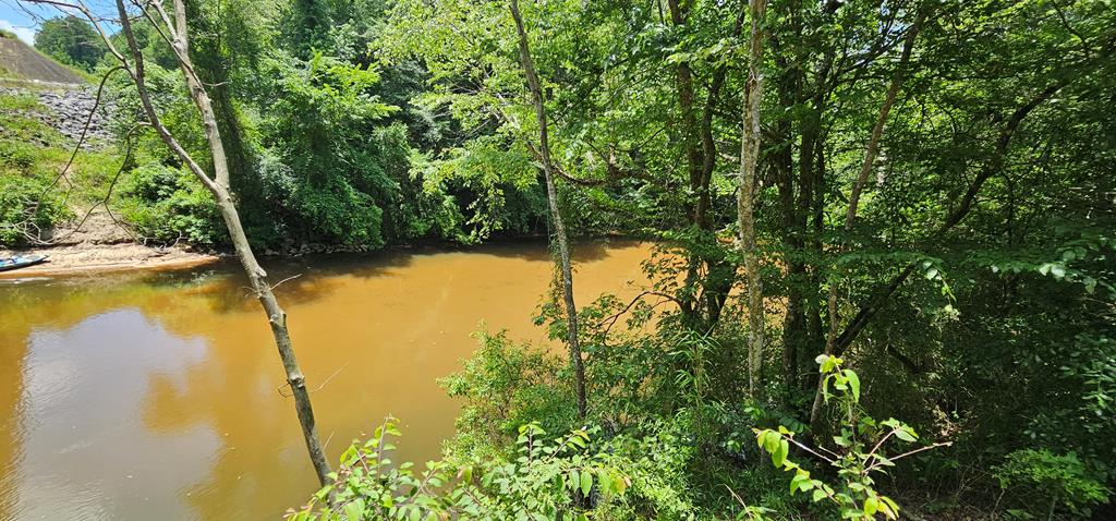 6 Acres Hwy 231, Newton, Alabama image 2