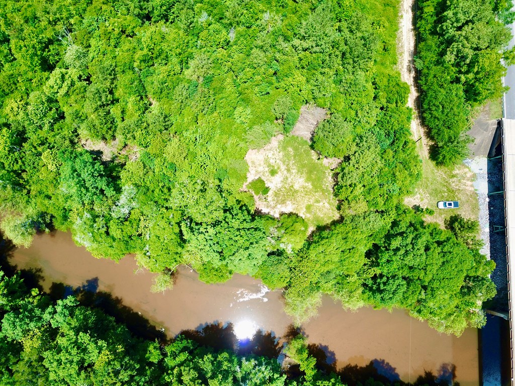 6 Acres Hwy 231, Newton, Alabama image 18