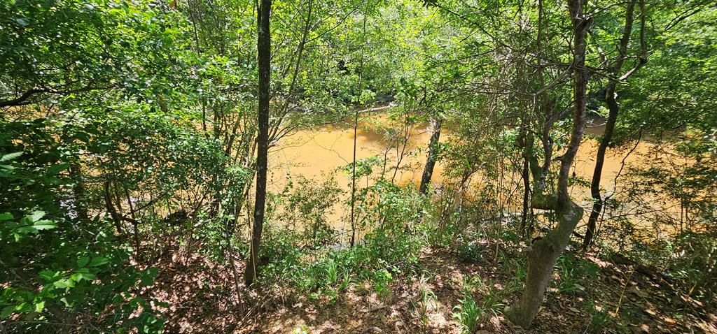 6 Acres Hwy 231, Newton, Alabama image 33