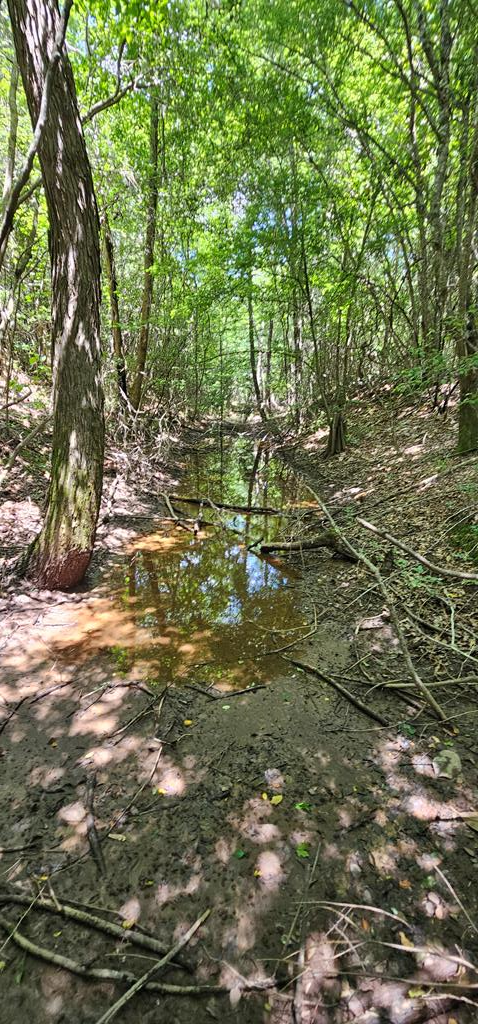 6 Acres Hwy 231, Newton, Alabama image 28