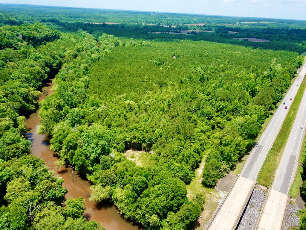 6 Acres Hwy 231, Newton, Alabama image 16