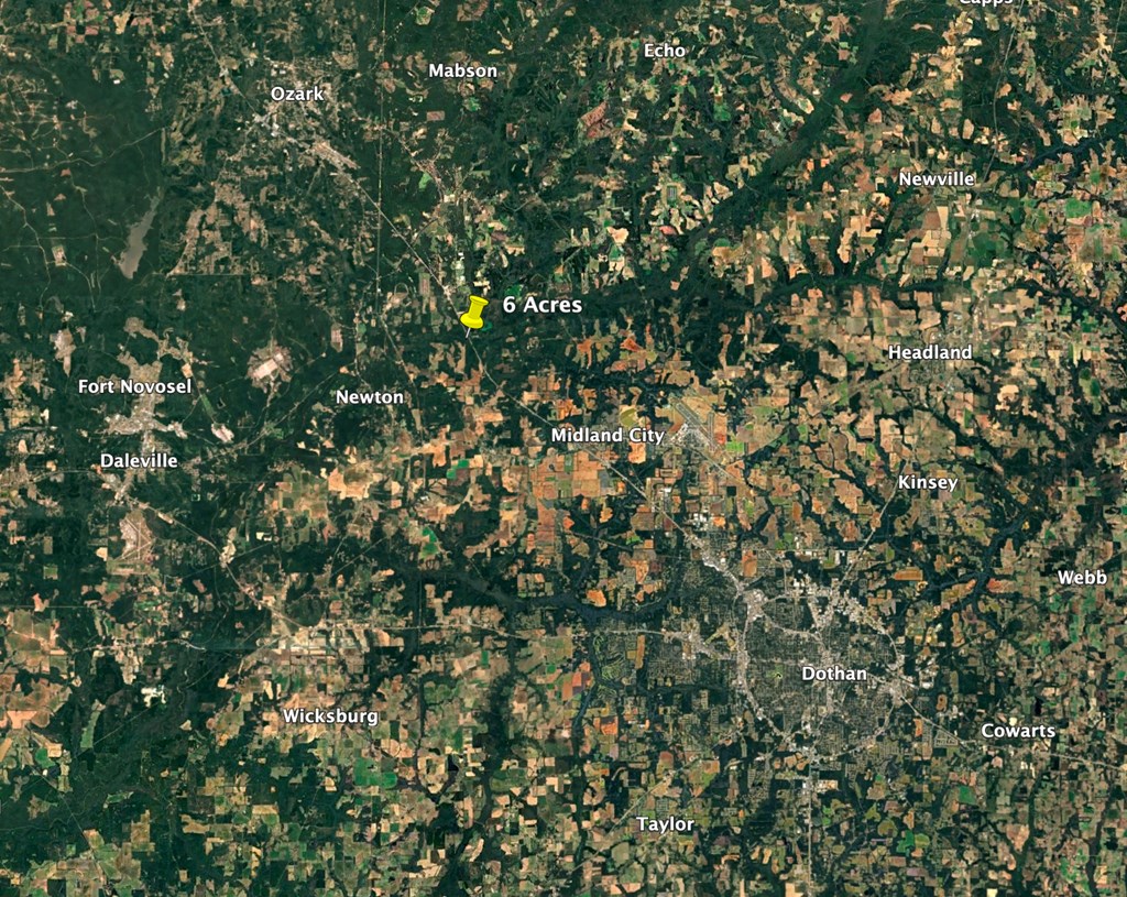 6 Acres Hwy 231, Newton, Alabama image 43