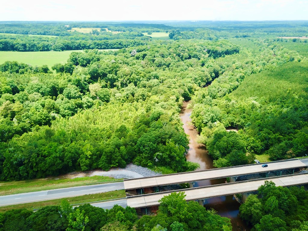 6 Acres Hwy 231, Newton, Alabama image 15