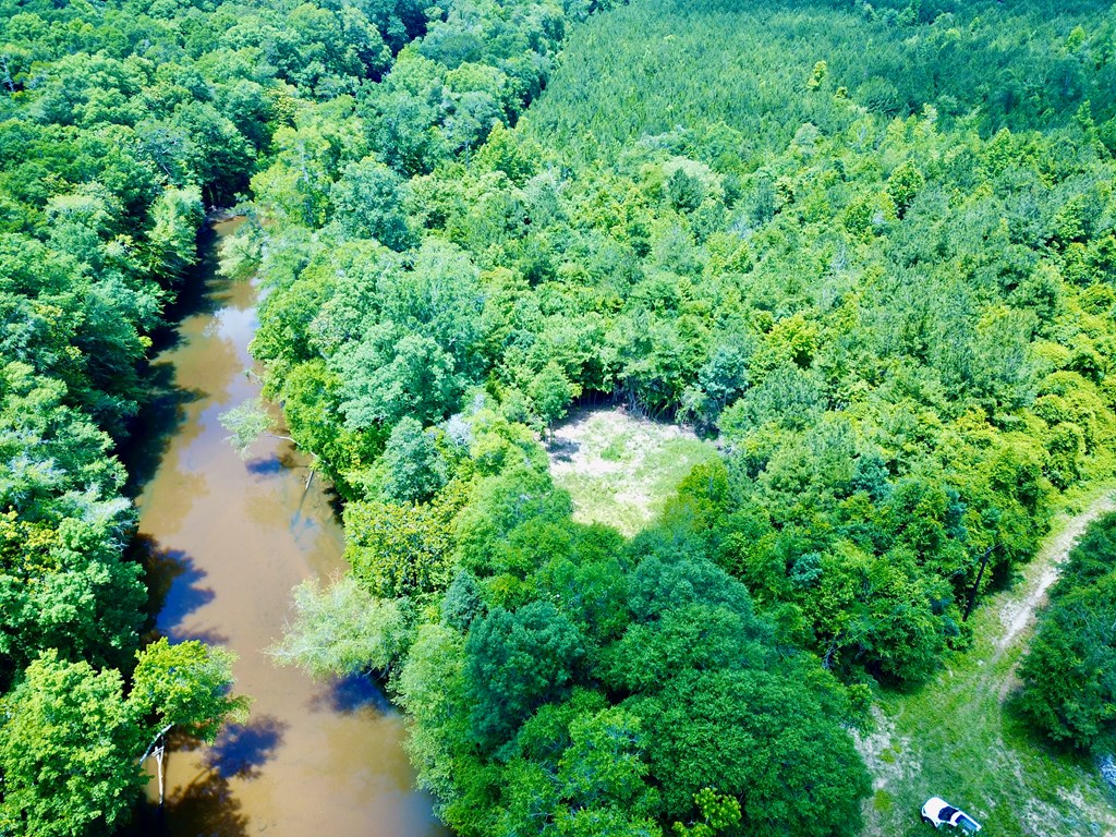 6 Acres Hwy 231, Newton, Alabama image 7