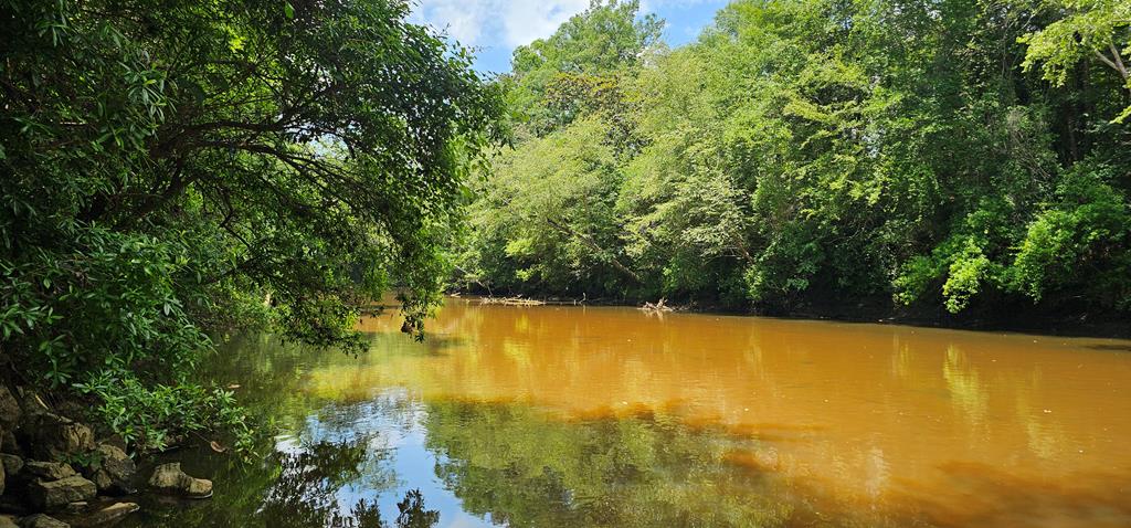 6 Acres Hwy 231, Newton, Alabama image 4