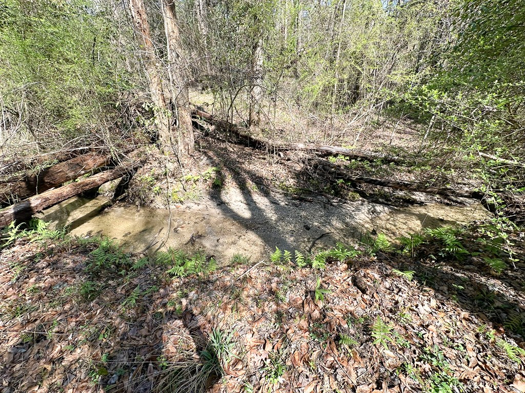 135 Woodlawn Drive, Eufaula, Alabama image 37
