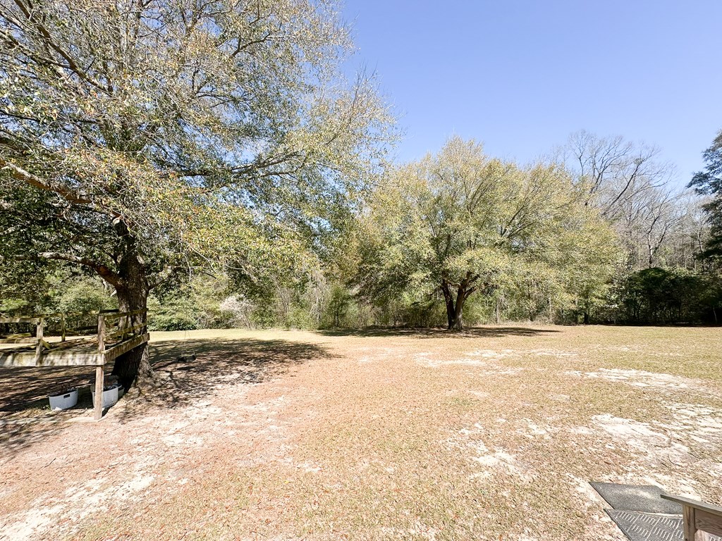 135 Woodlawn Drive, Eufaula, Alabama image 31